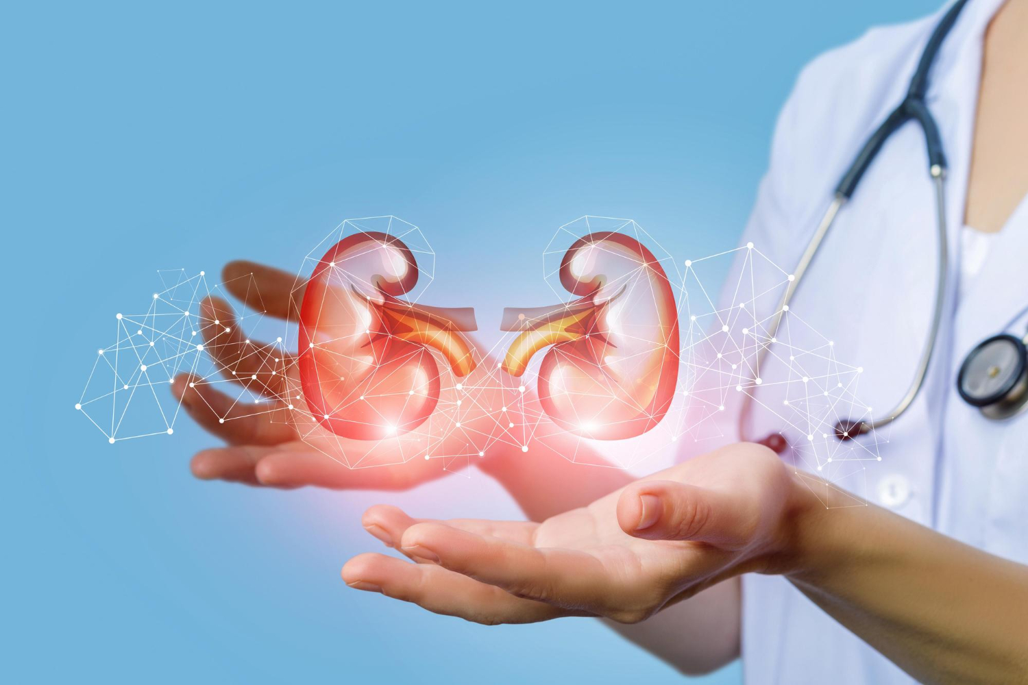 Urologia