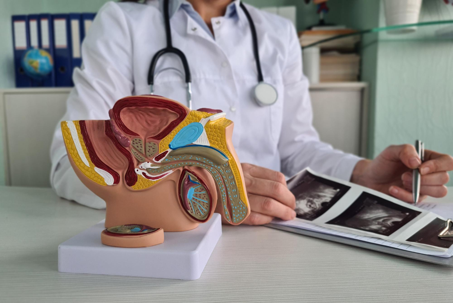 Proctologista